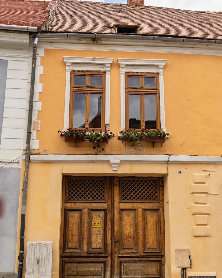World Studio Sibiu Exteriér fotografie